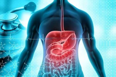 همه چیز درباره بیماری گوارشی جدید / راه‌ انتقال و علائم اولیه بیماری - ویدائو مگ
