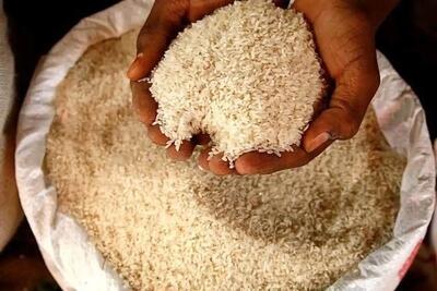 افشای فروش برنج پاکستانی در کیسه برنج ایرانی | هشدار درباره تقلب و تشخیص برنج اصل - ویدائو مگ