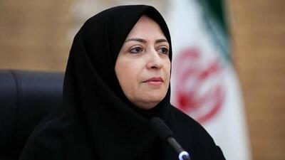 انصاری: تالاب صالحیه، کانون اصلی گردوغبار تهران و کرج است