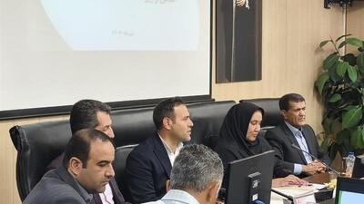 دبیر فدراسیون: زنجان الگویی موفق در توسعه ورزش بیماران خاص است