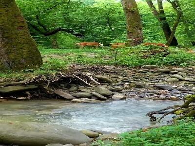 مسیر‌ آبشار‌ اسکلیم در مازندران