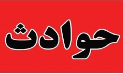 مرگ دختر ۷ ساله با ضربات چاقوی پدر