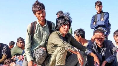 نماینده قم: حتی یک جاسوس افغانستانی نداشتیم