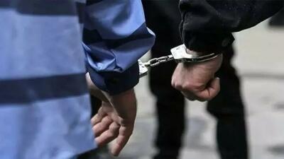 دستگیری اعضای باند کلاهبرداری با ترفند اعطای تسهیلات بانکی از۲۷۰ شهروند