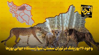 موشن‌گرافیک | وجود ۲۶ یوزپلنگ در توران سمنان، تنها زیستگاه جهانی یوزها