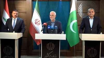 تشکیل دو کمیته مشترک بین ایران و عراق/ پاکستان آماده همکاری برای برگزاری مراسم اربعین است