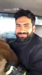 زنده‌گیری میمون سرگردان در تبریز!