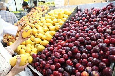 اختلاف قیمت ۳۳ درصدی میوه و سبزی بین میادین تره‌بار و سطح شهر تهران