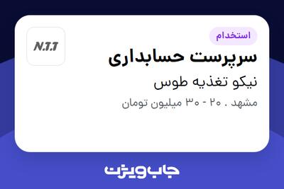 استخدام سرپرست حسابداری در نیکو تغذیه طوس