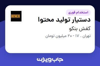 استخدام دستیار تولید محتوا - آقا در کفش بنکو