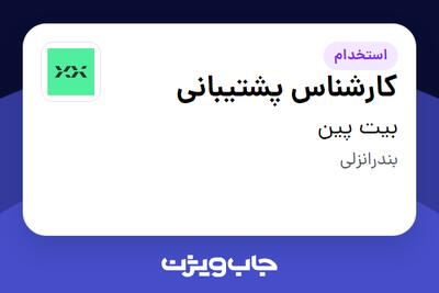 استخدام کارشناس پشتیبانی در بیت پین