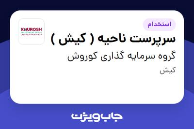 استخدام سرپرست ناحیه ( کیش ) در گروه سرمایه گذاری کوروش