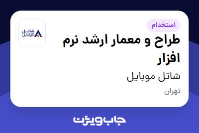 استخدام طراح و معمار ارشد نرم افزار در شاتل موبایل