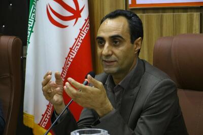 بهزیستی به تنهایی توان رفع چالش‌های اجتماعی را ندارد