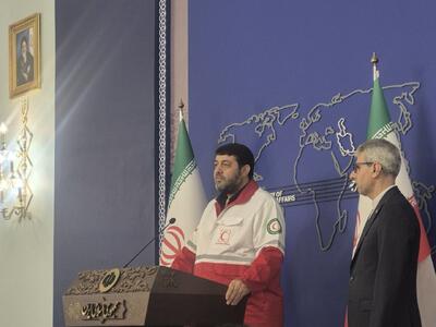 بقایی: اسنپ‌بک هیچ مبنای حقوقی و سیاسی ندارد