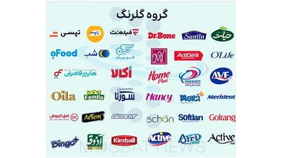 گلرنگ؛ سلطان وام‌ گیری از 11 بانک کشور / بانک مرکزی کجاست؟