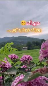 طالع بینی امروز 23 تیر