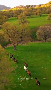 فیلم نمای هوایی از لرستان / زیبایی‌های طبیعت از بالا