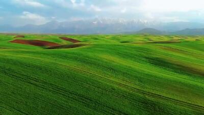 قالی‌کوه نمادی از هنر و فرهنگ غنی لرستان در دل طبیعت + فیلم