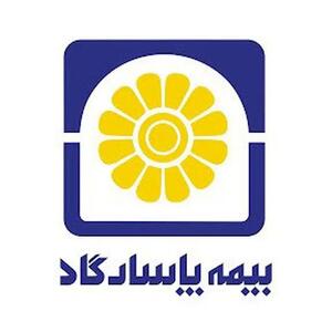 نگاهی تحلیلی به عملکرد ۵ ساله بیمه‌پاسارگاد