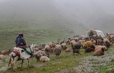 بوروکراسی‌های اداری سد راه توسعه گردشگری در کلات خراسان رضوی شده است