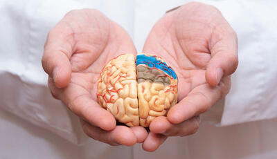 آیا سرعت گفتار افراد یکی از نشانه‌های بیماری آلزایمر است؟