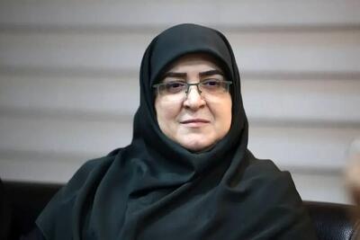 دلیل قطع اینترنت در جنگ ۱۲ روزه از زبان مهاجرانی (فیلم)