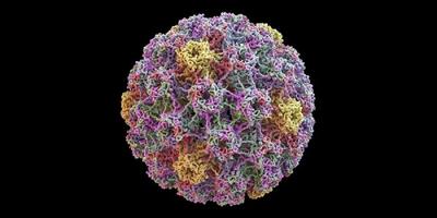 کدام سرطان‌ها با ویروس HPV مرتبط هستند و چطور می‌توان از آن‌ها پیشگیری کرد؟