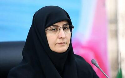 طرح «حامی» سرمایه‌گذاری برای آینده کشور است
