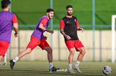 رونمایی از اولین حریف پرسپولیس هاشمیان