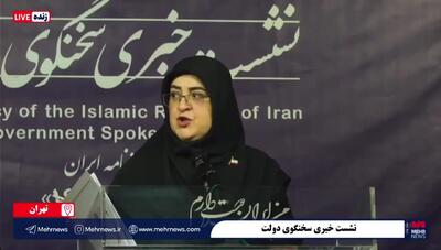 توضیحات مهم سخنگوی دولت درباره زمان پرداخت کالابرگ+ فیلم