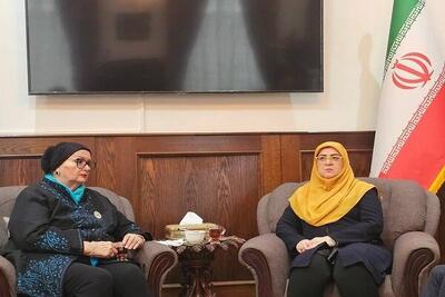 دیدار سخنگوی دولت با وزیر خارجه پیشین بوسنی - اکونیوز
