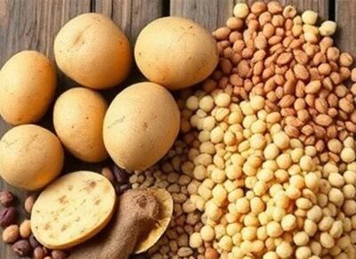 ابلاغ ممنوعیت صادرات حبوبات به گمرکات کشور - اکونیوز