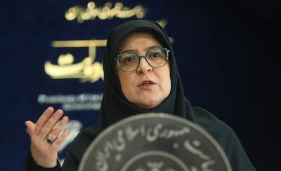 سخنگوی دولت: ایرادات طرح تشدید مجازات جاسوسان از سوی دولت مطرح شده  /  همکاری خوبی با سایر نهادها  در اصلاح این طرح وجود دارد