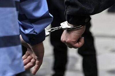 اعضای باند اعطای تسهیلات بانکی با کلاهبرداری از ۲۷۰ شهروند دستگیر شدند