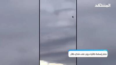 ببینید؛ وقتی شاهین یک پهپاد را طعمه دید
