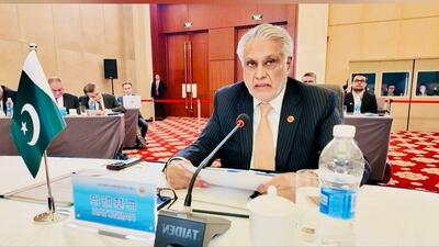 پاکستان در اجلاس شانگهای تجاوزگری اسرائیل و آمریکا به ایران را محکوم کرد
