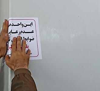 قصابی عرضه کننده گوشت گراز در آبادان پلمب شد