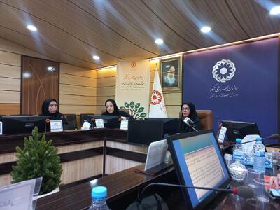 میزان مشارکت‌های مردمی بهزیستی زنجان به ۱۱۰ میلیارد ریال رسید