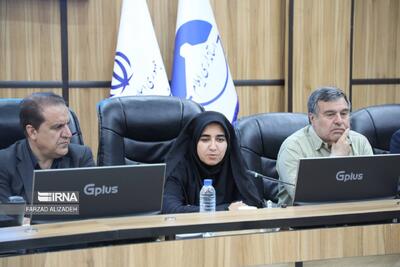تاکید نمایندگان ایلام در مجلس بر توسعه زیرساخت‌های اربعین و مرز مهران