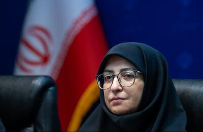 انصاری: تخصیص عوارض آلایندگی به صندوق محیط زیست پیگیری می‌شود