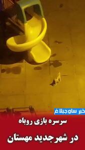 سرسره بازی روباه در پارک شهرجدید مهستان