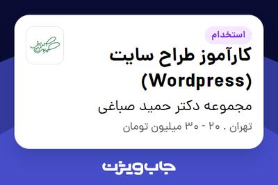 استخدام کارآموز طراح سایت (Wordpress) در مجموعه دکتر حمید صباغی