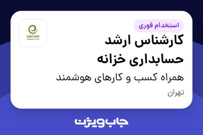استخدام کارشناس ارشد حسابداری خزانه در همراه کسب و کارهای هوشمند