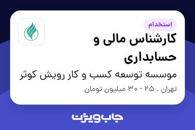 استخدام کارشناس مالی و حسابداری در موسسه توسعه کسب و کار رویش کوثر