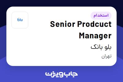 استخدام Senior Prodcuct Manager در بلو بانک