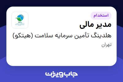 استخدام مدیر مالی در هلدینگ تأمین سرمایه سلامت (هیتکو)