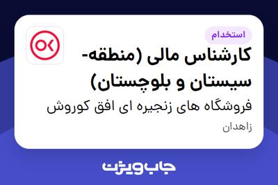 استخدام کارشناس مالی (منطقه- سیستان و بلوچستان) - آقا در فروشگاه های زنجیره ای افق کوروش