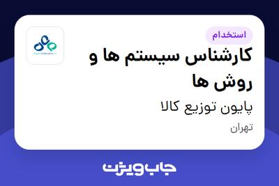 استخدام کارشناس سیستم ها و روش ها در پایون توزیع کالا