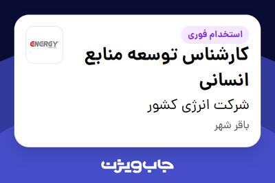 استخدام کارشناس توسعه منابع انسانی - آقا در شرکت انرژی کشور